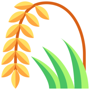 শস্য ও আটা