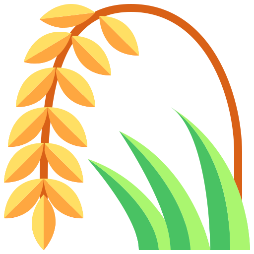 শস্য